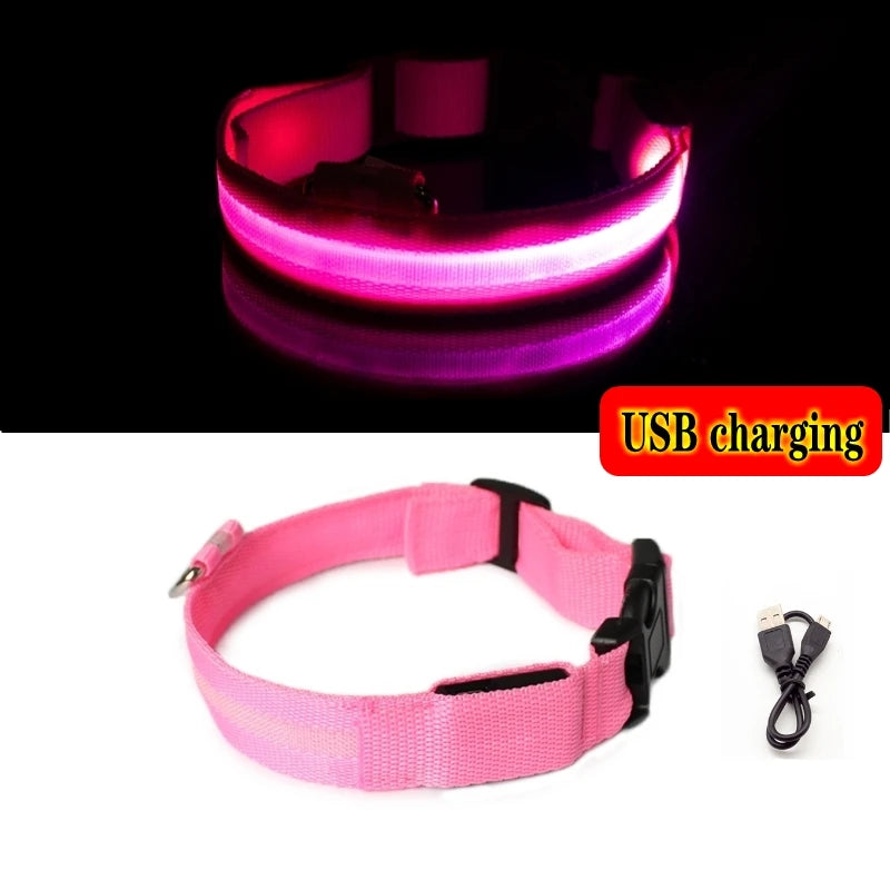 Glow-in-the-Dark Dog Leash & Collar Set