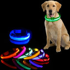 Glow-in-the-Dark Dog Leash & Collar Set