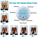 Ionic Foot Spa Detox Machine