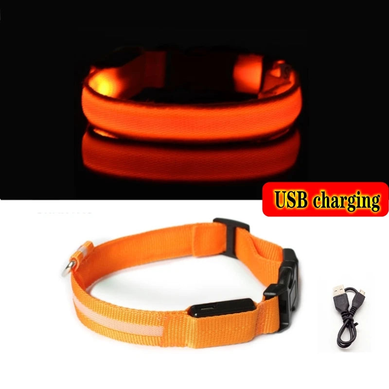 Glow-in-the-Dark Dog Leash & Collar Set