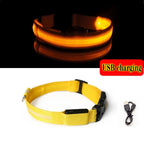 Glow-in-the-Dark Dog Leash & Collar Set