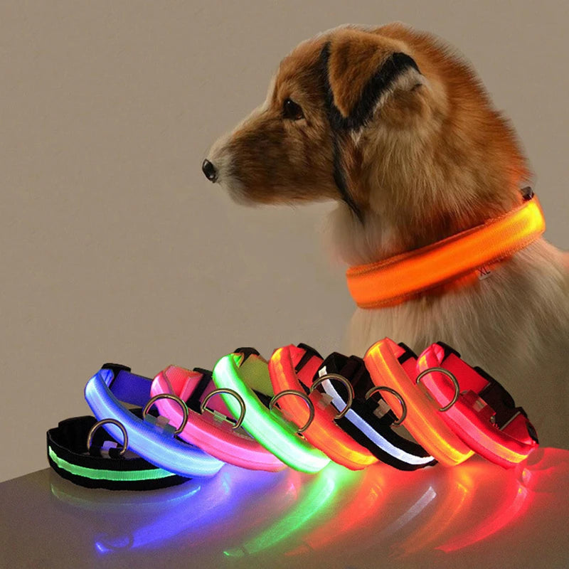 Glow-in-the-Dark Dog Leash & Collar Set