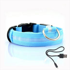 Glow-in-the-Dark Dog Leash & Collar Set