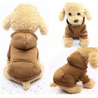 Winter Pet Hoodie