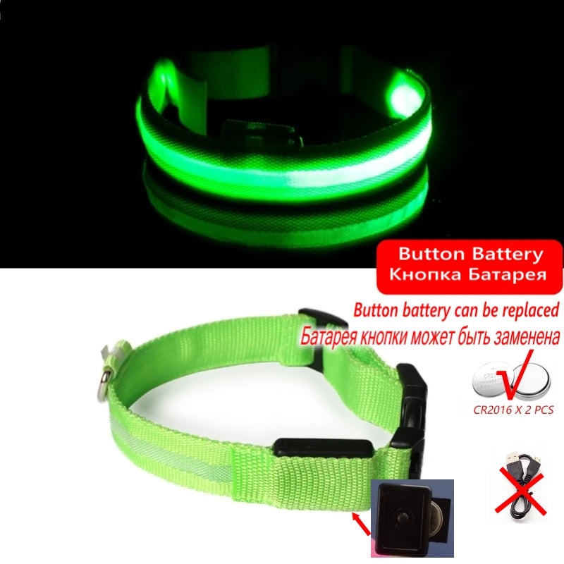 Glow-in-the-Dark Dog Leash & Collar Set