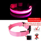 Glow-in-the-Dark Dog Leash & Collar Set