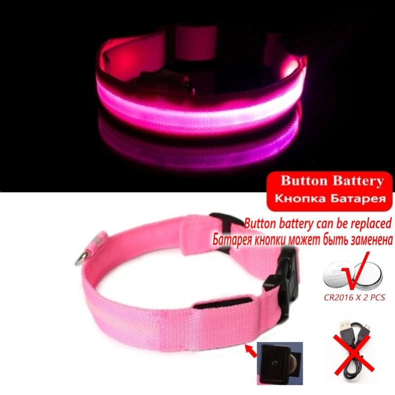 Glow-in-the-Dark Dog Leash & Collar Set