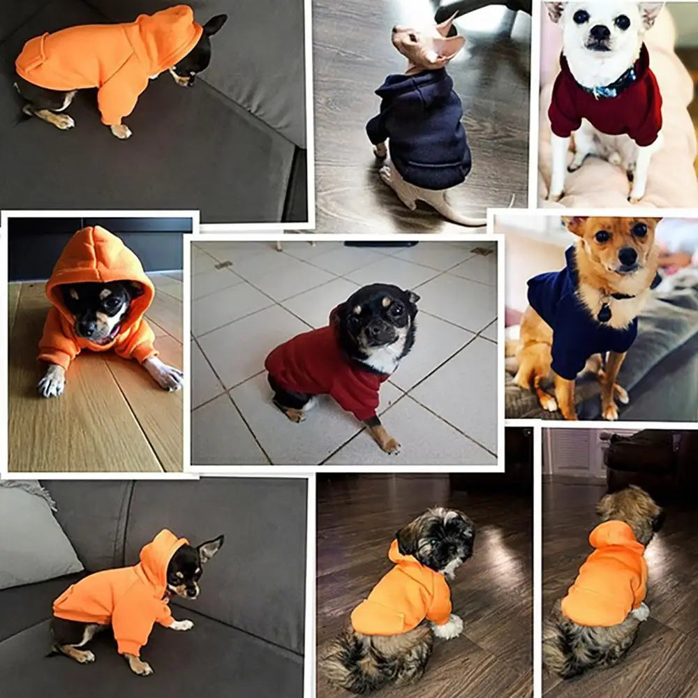 Winter Pet Hoodie