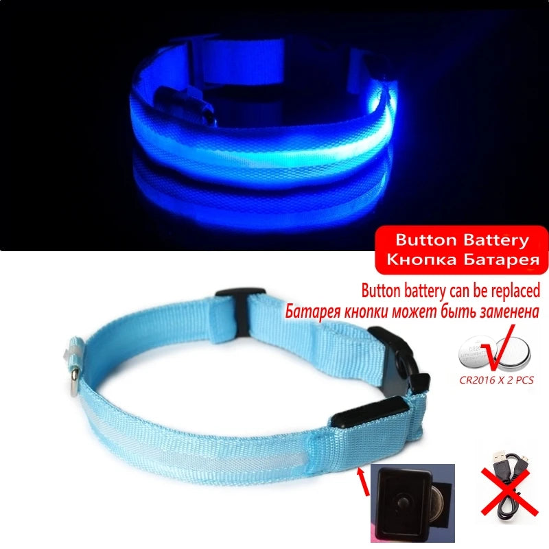 Glow-in-the-Dark Dog Leash & Collar Set
