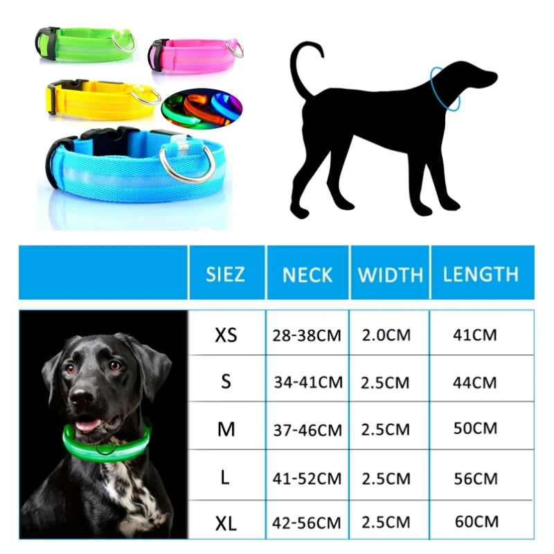 Glow-in-the-Dark Dog Leash & Collar Set