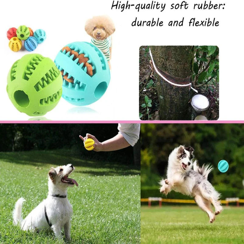 Interactive Chewing Rubber Ball Toy For Pets