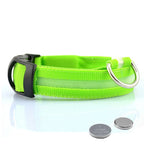 Glow-in-the-Dark Dog Leash & Collar Set
