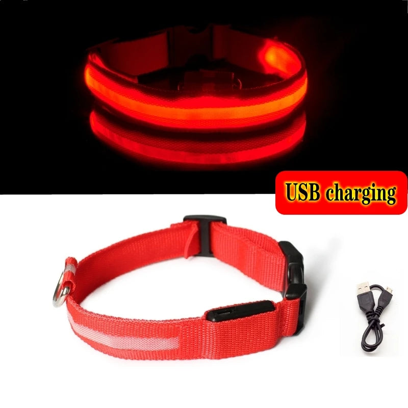 Glow-in-the-Dark Dog Leash & Collar Set