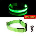 Glow-in-the-Dark Dog Leash & Collar Set