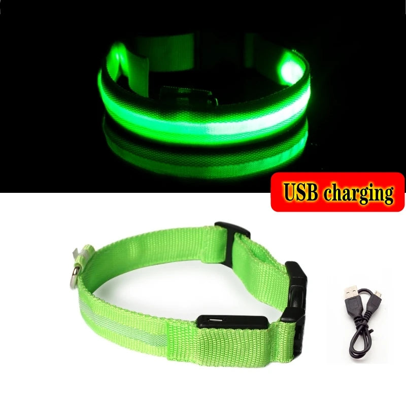 Glow-in-the-Dark Dog Leash & Collar Set