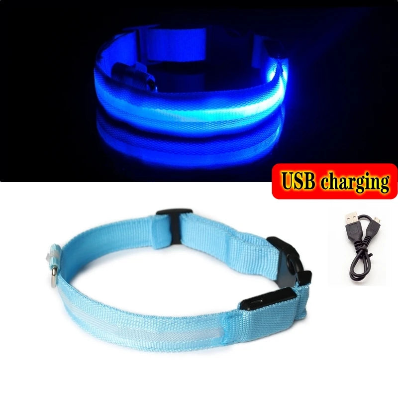 Glow-in-the-Dark Dog Leash & Collar Set