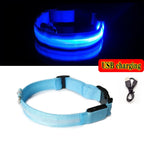 Glow-in-the-Dark Dog Leash & Collar Set