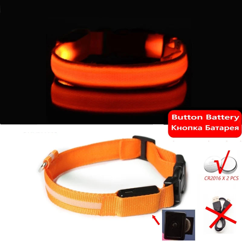 Glow-in-the-Dark Dog Leash & Collar Set