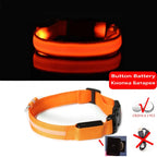Glow-in-the-Dark Dog Leash & Collar Set