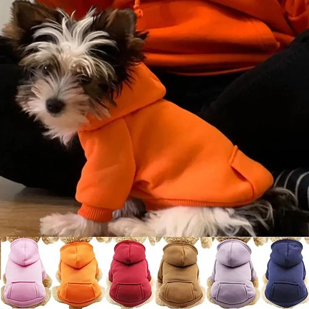 Winter Pet Hoodie