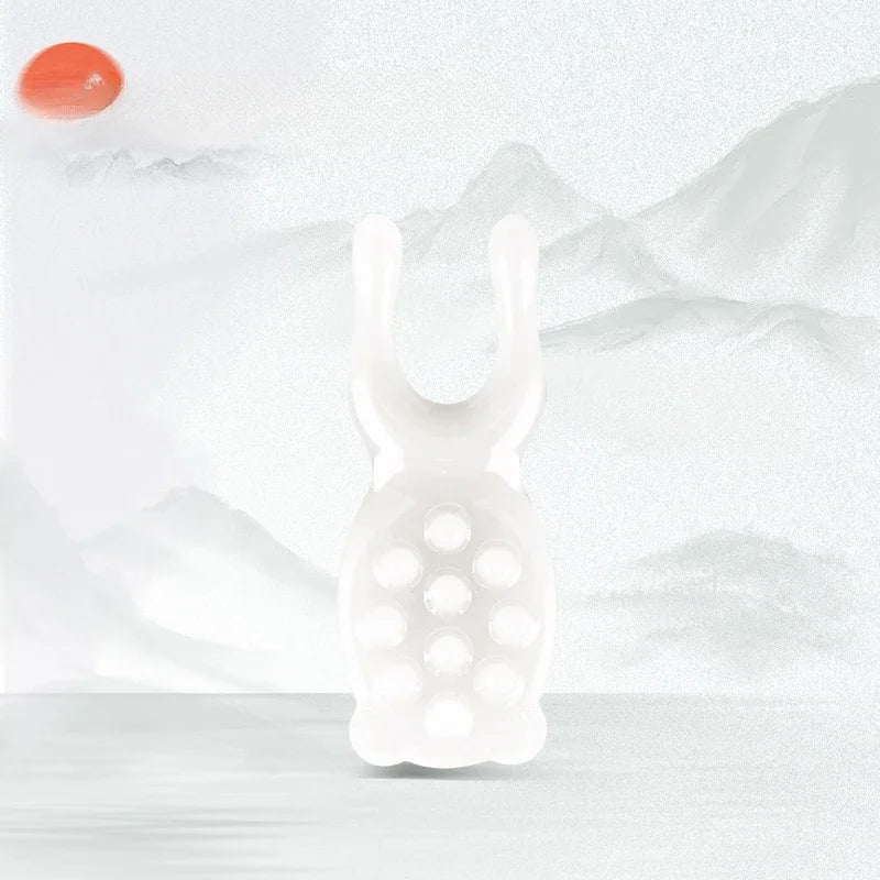 Face Lifting Guasha Resin Scraping Massage Tool