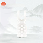 Face Lifting Guasha Resin Scraping Massage Tool