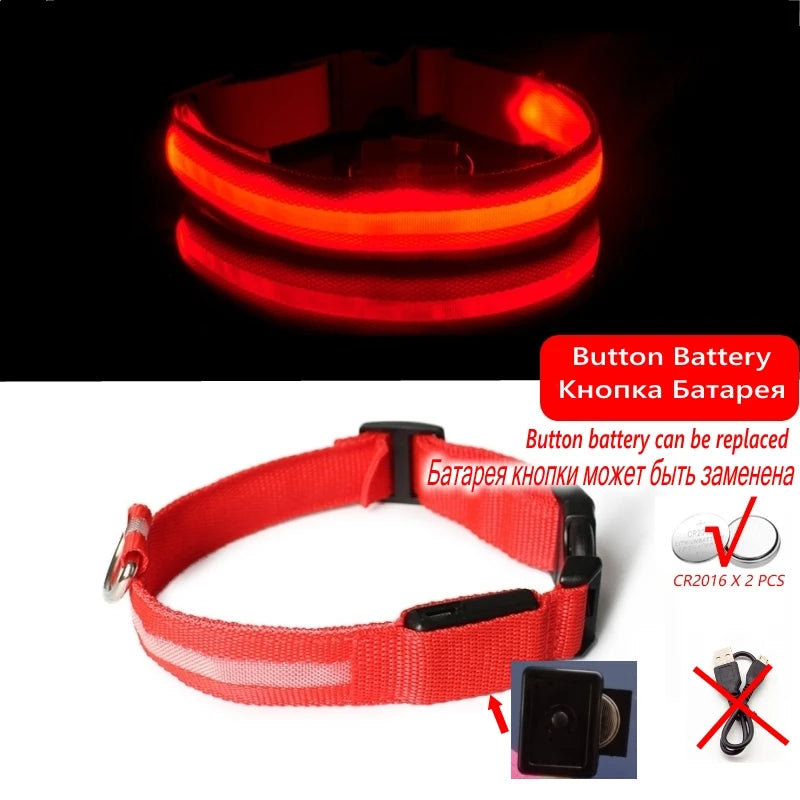 Glow-in-the-Dark Dog Leash & Collar Set